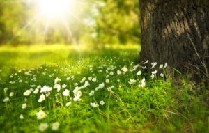 California astrology association lawsuit